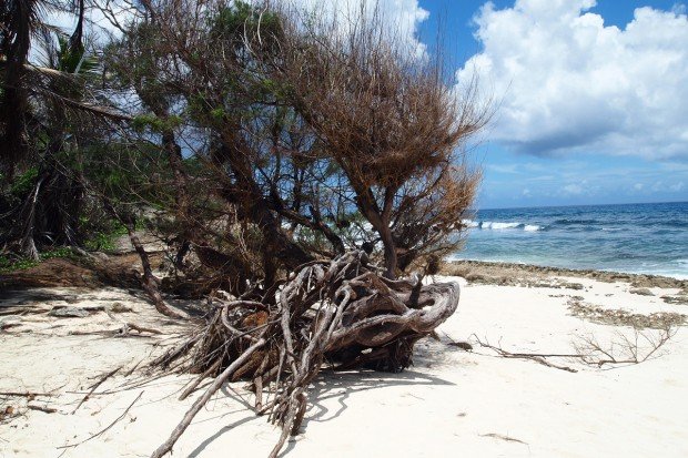 moniquedecaro_seychelles_11
