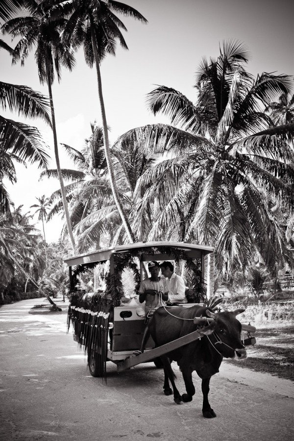 laurent_levy_seychelles