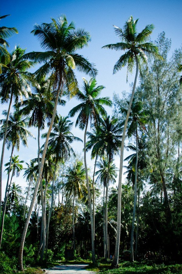 laurent_levy_seychelles