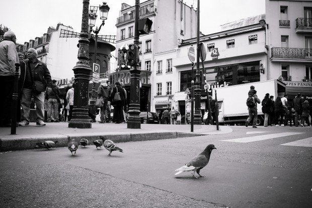 moniquedecaro-paris