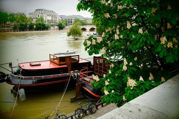moniquedecaro-paris 