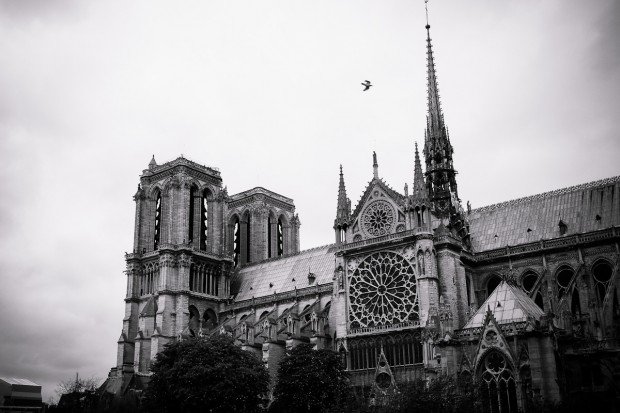 moniquedecaro-paris