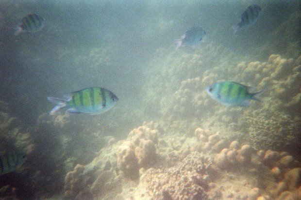 moniquedecaro_krabi_02