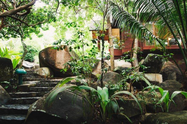 moniquedecaro-seychelles