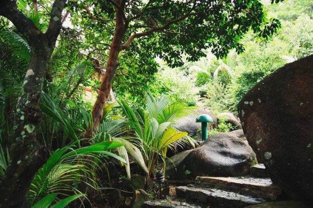 moniquedecaro-seychelles