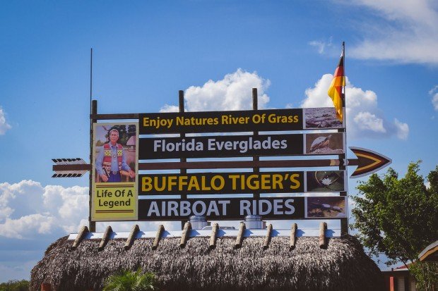 moniquedecaro_everglades