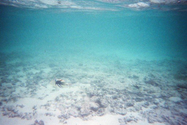 moniquedecaro-seychellen