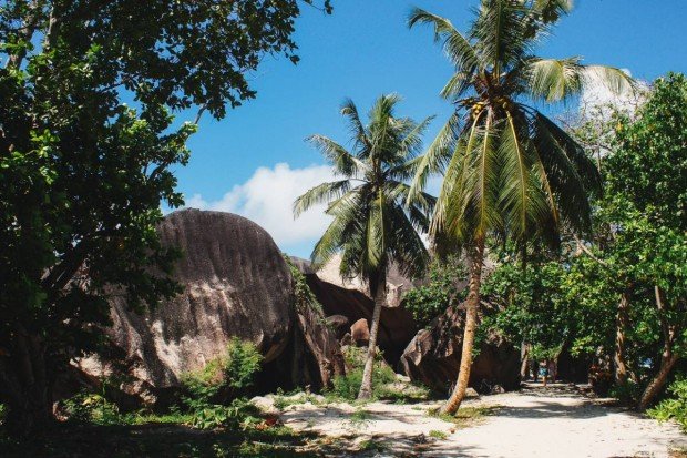 moniquedecaro-seychellen