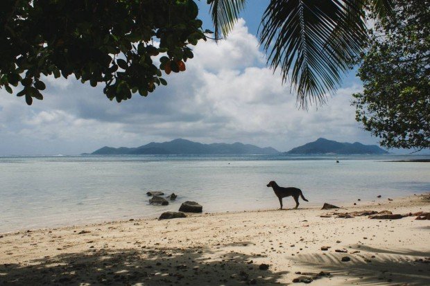 moniquedecaro-seychellen