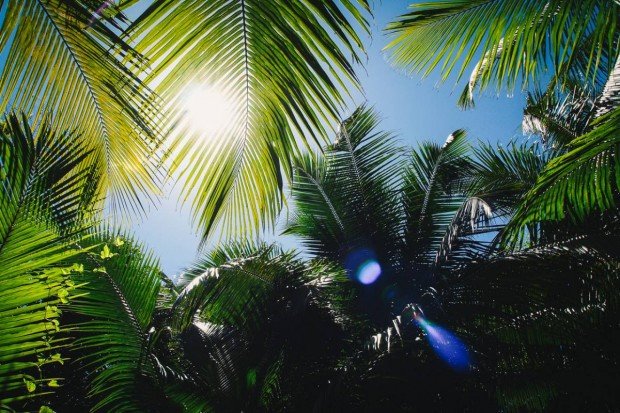 moniquedecaro-seychellen