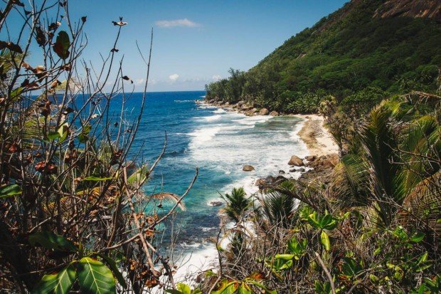 moniquedecaro-seychellen