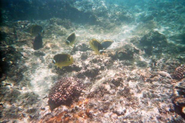 moniquedecaro-seychellen
