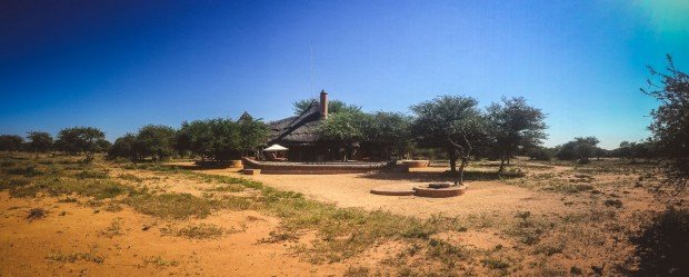 moniquedecaro-okonjima-africat