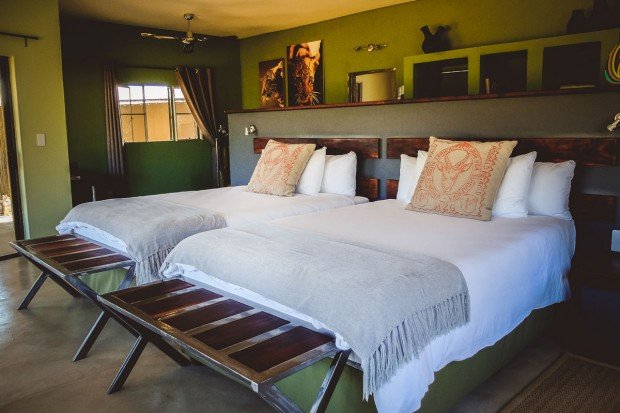 moniquedecaro-okonjima-0510