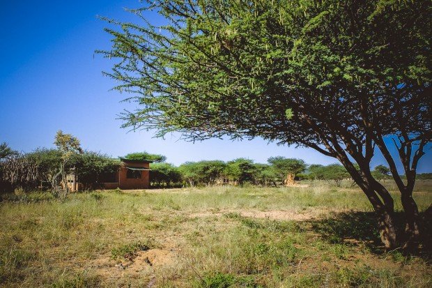 moniquedecaro-okonjima-0529