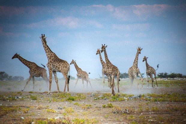 moniquedecaro_namibia-0279