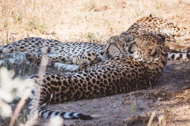 moniquedecaro_namibia-8306