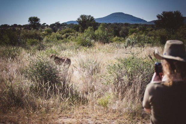 moniquedecaro_namibia-8371