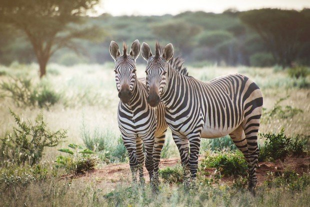 moniquedecaro_namibia-8591