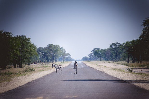 moniquedecaro_namibia-9788