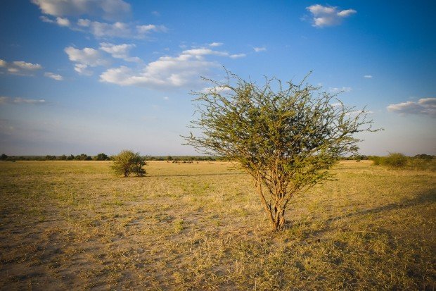 moniquedecaro_waterberg-4013