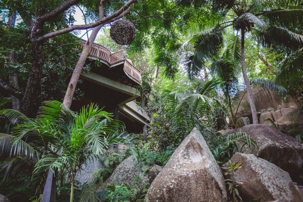 moniquedecaro-seychelles-domaine