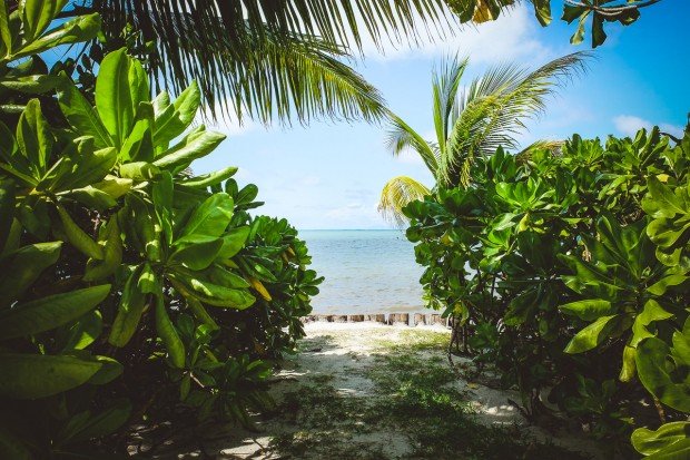 moniquedecaro-indian-ocean-lodge-seychelles
