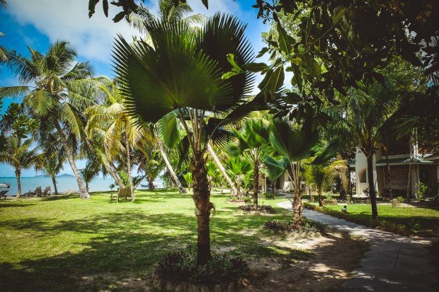 moniquedecaro-5137-seychelles