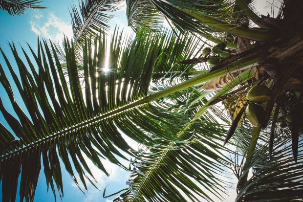 moniquedecaro-indian-ocean-lodge-seychelles