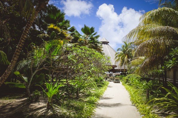 moniquedecaro-denis-private-island
