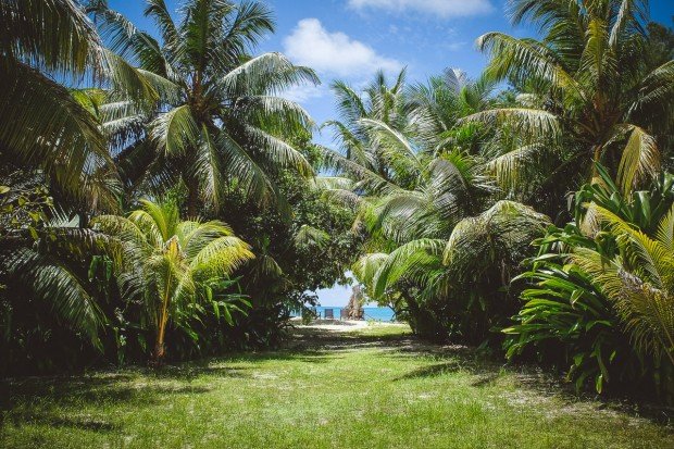 moniquedecaro-5804-denis-private-island