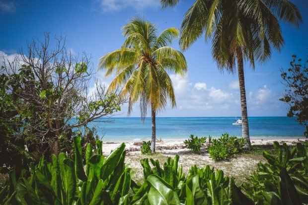 moniquedecaro-denis-private-island