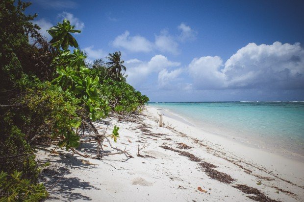 moniquedecaro-6036-denis-private-island