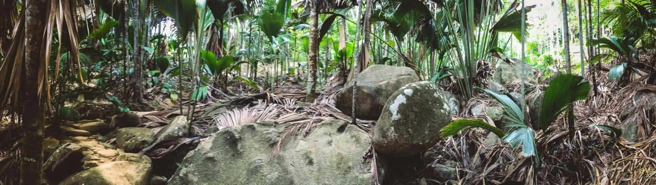 moniquedecaro-seychelles