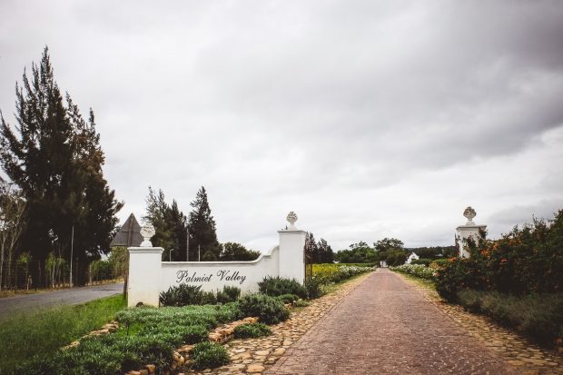 moniquedecaro-palmiet-paarl