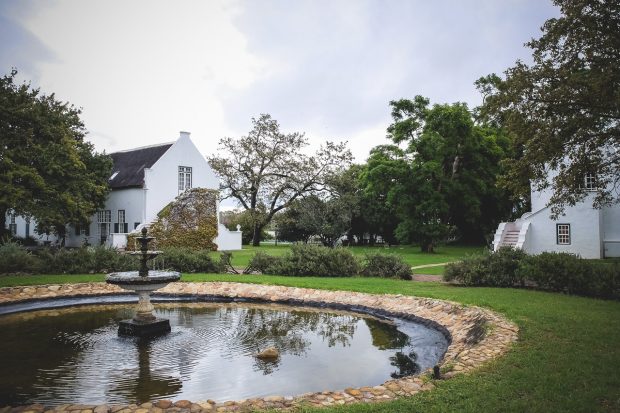 moniquedecaro-palmiet-paarl