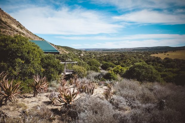 moniquedecaro-hillsnek-south-africa