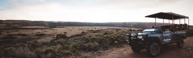 moniquedecaro-hillsnek-south-africa