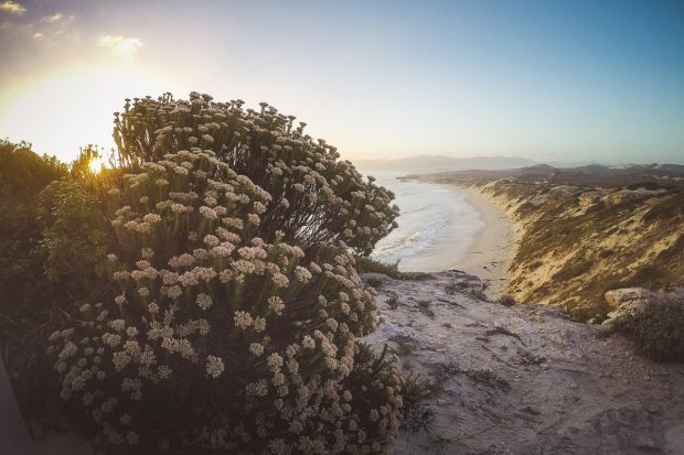 moniquedecaro-south-africa-sea-star-lodge