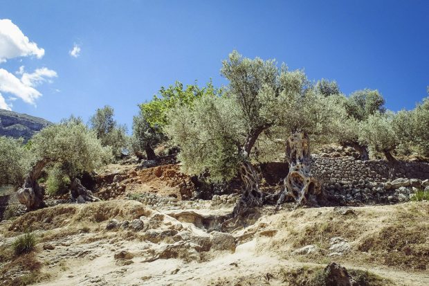 moniquedeacaro-belomond-la-residencia-6661