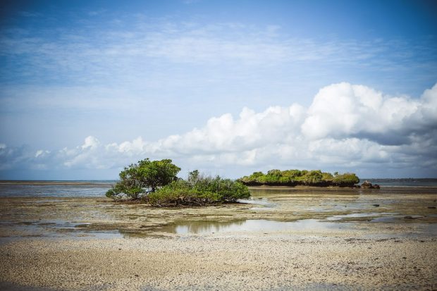 moniquedecaro-kenya-chale-island-014