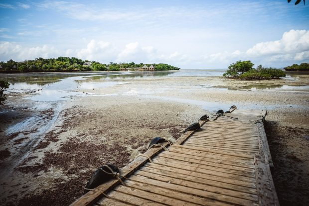 moniquedecaro-kenya-chale-island-016