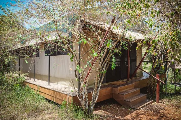 moniquedecaro-mara-bush-camp-kenia-3341