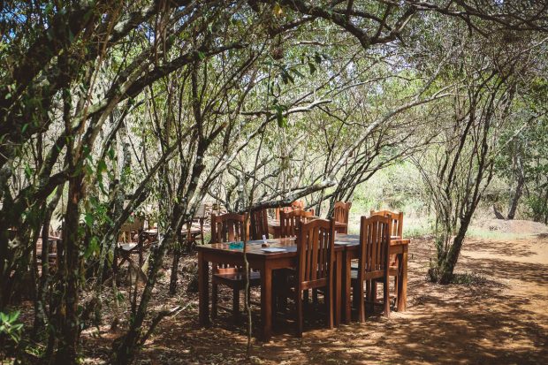 moniquedecaro-mara-bush-camp-kenia-3351