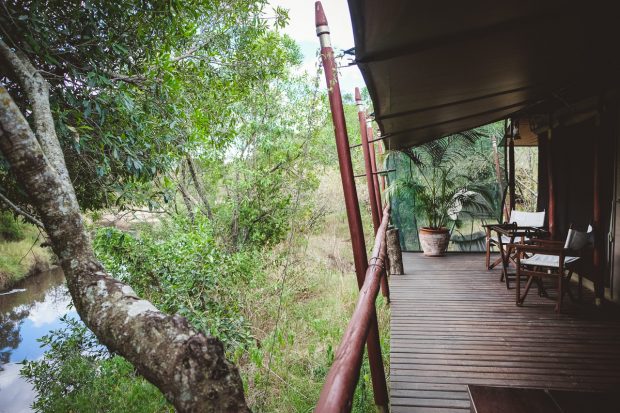 moniquedecaro-mara-bush-camp-kenia-3400