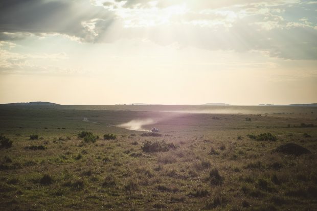 moniquedecaro-mara-bush-camp-kenia-3688