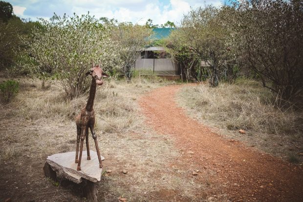 moniquedecaro-mara-bush-camp-kenia-5052