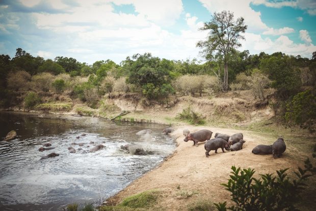moniquedecaro-mara-bush-camp-kenia-5243