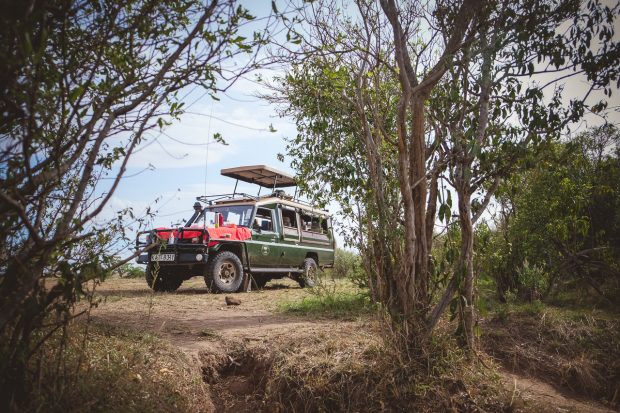 moniquedecaro-mara-bush-camp-kenia-6187