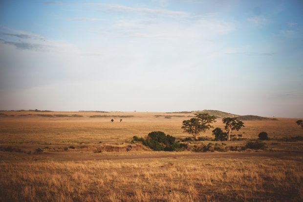 Masai Mara